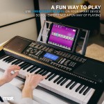 KB12P Electronic Keyboard Pro 61-klahviga