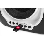 SBS30W karaokesüsteem CD ja 2 mikrofoniga SBS30W karaokesüsteem CD ja 2 mikrofoniga