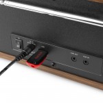 Napoli digitaalse muusikasüsteemi CD/BT/DAB+/Internet Wood