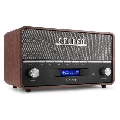 Sarv Retro DAB+ raadiohall Sarv Retro DAB+ raadiohall