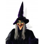 EUROPALMS Halloweeni nõiakujuke, animeeritud 175cm EUROPALMS Halloweeni nõiakujuke, animeeritud 175cm