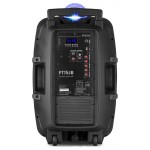FT15JB kaasaskantav helisüsteem 15" 800W valgusshowga