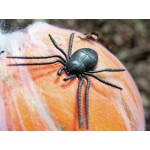 EUROPALMS Halloweeni kõrvits võrgus, 25cm EUROPALMS Halloweeni kõrvits võrgus, 25cm