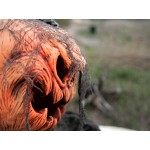 EUROPALMS Halloweeni Pioneer Pumpkin Monster, 50 cm EUROPALMS Halloweeni Pioneer Pumpkin Monster, 50 cm