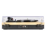 RP165L plaadimängija komplekt Light Wood RP165L plaadimängija komplekt Light Wood