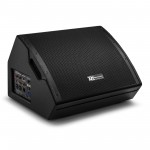 PDY212SM Active Stage monitor 12"